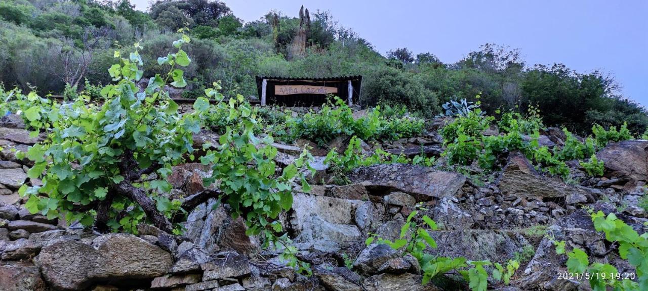 Vina Cazoga Villa Sober Exterior photo